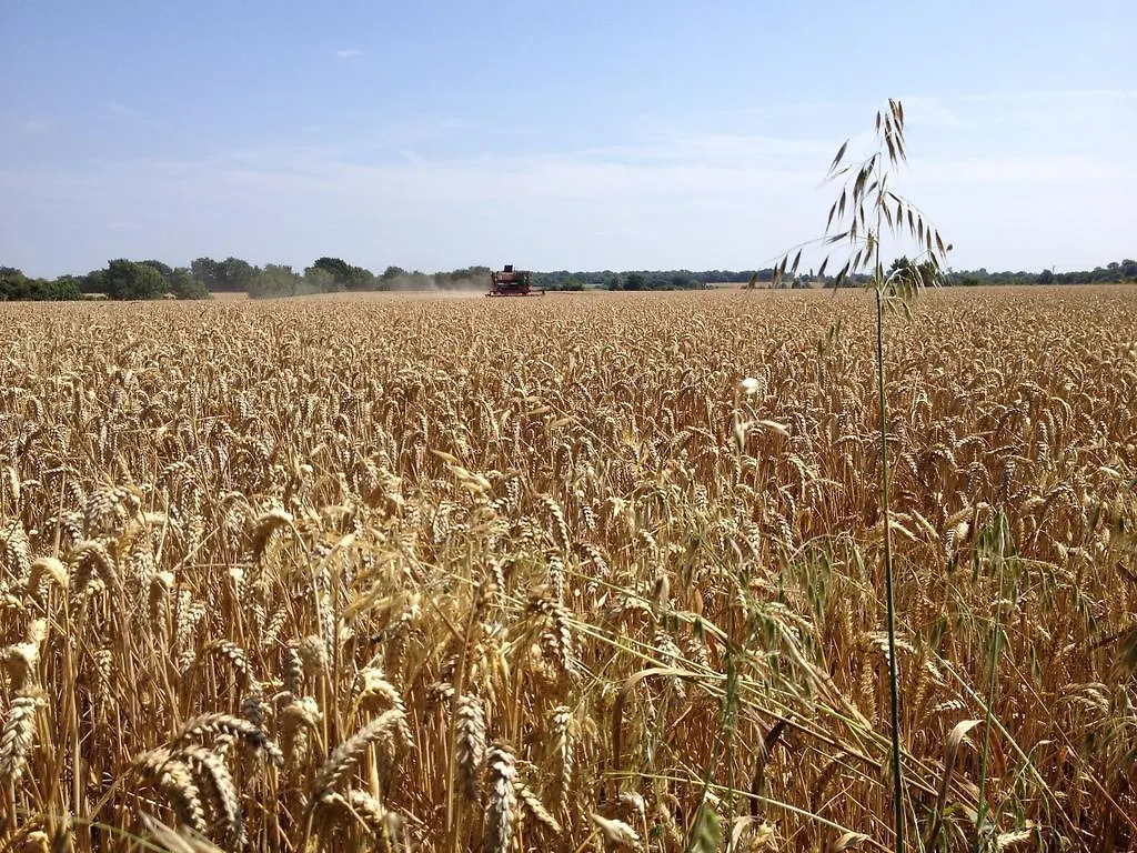 Puttocks Farm Bed & Breakfast Great Dunmow
